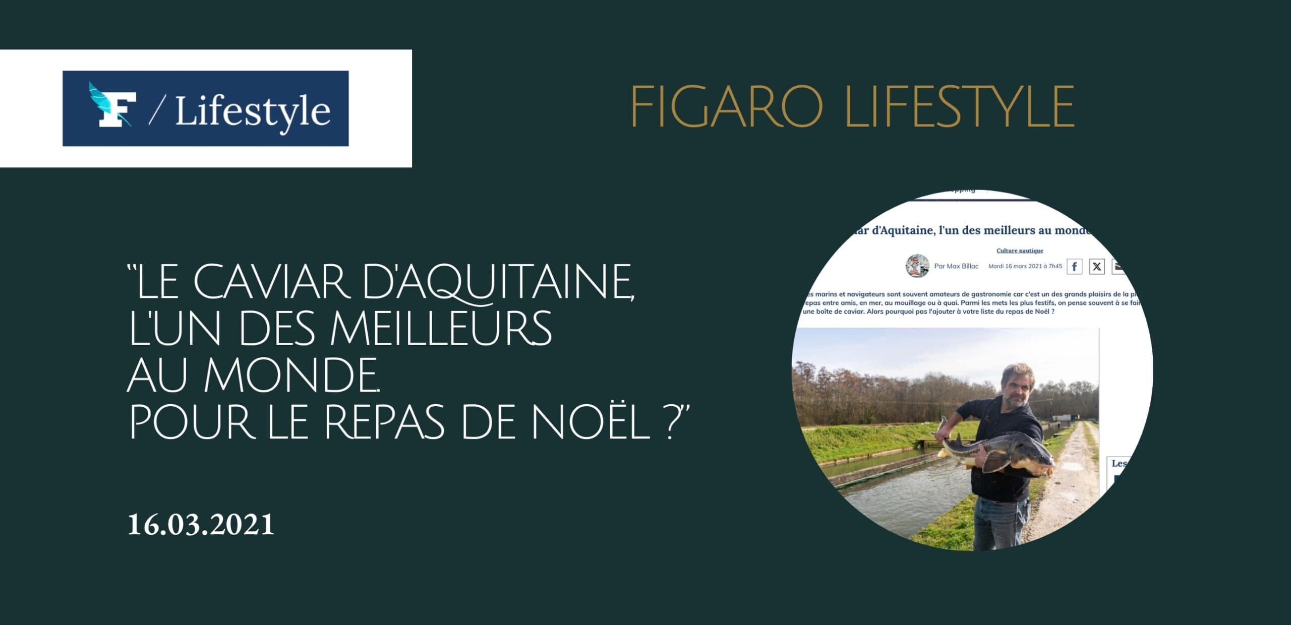 Le Caviar d'Aquitaine, l'un des meilleurs au monde. Pour le repas de Noël ?