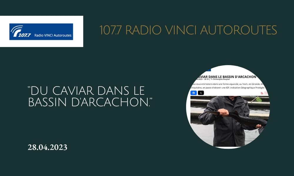 "Du caviar dans le Bassin d'Arcachon."