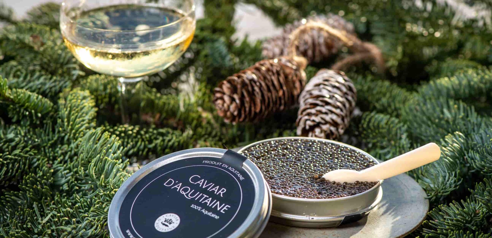 Nos conseils de dégustation de Caviar