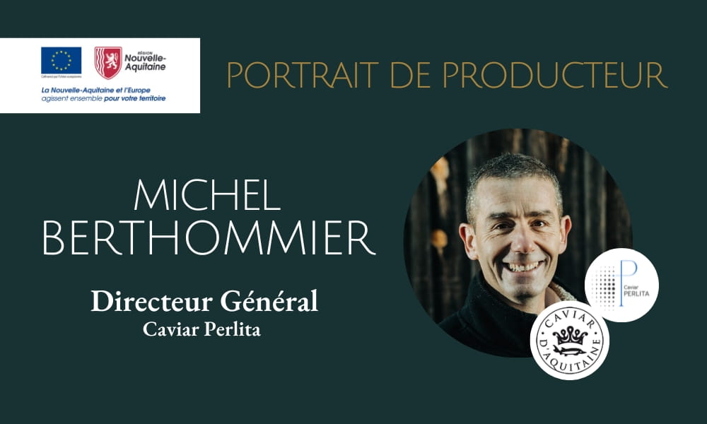 Michel Berthommier